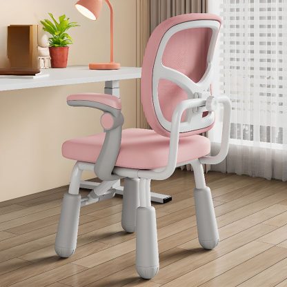 "Spacious Dining Chair"